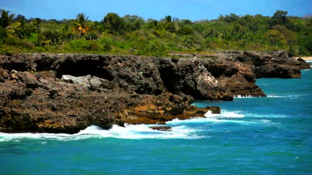 Orilla del océano de la isla tropical — Vídeo de stock