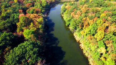 Sonbahar ormandaki nehir havadan görünümü