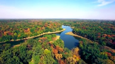 Sonbahar ormandaki nehir havadan görünümü