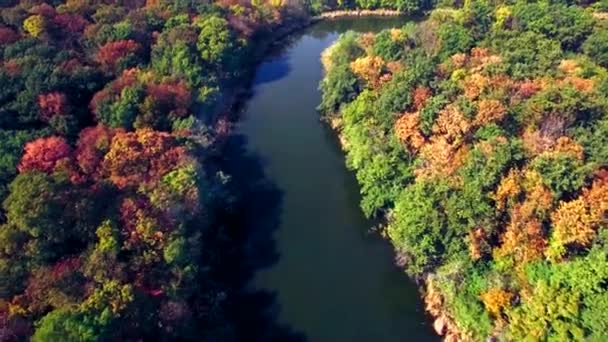 Luchtfoto van de rivier in herfst bos — Stockvideo