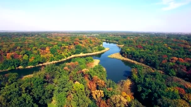 Letecký pohled na řeku v podzimním lese — Stock video