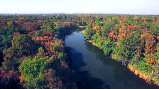 Aerial view of the river in autumn forest — Stock Video
