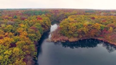 Sonbahar ormandaki nehir havadan görünümü