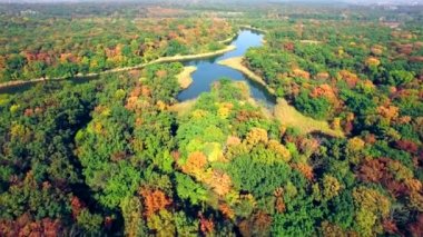 Sonbahar ormandaki nehir havadan görünümü