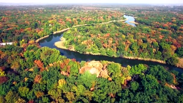 Vista aérea del río en bosque otoñal — Vídeo de stock
