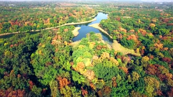 Vista aérea del río en bosque otoñal — Vídeos de Stock