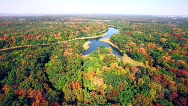 Letecký pohled na řeku v podzimním lese — Stock video