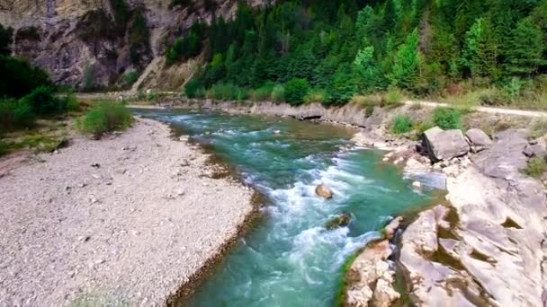 Karpatlar dağ nehirde havadan görünümü — Stok video