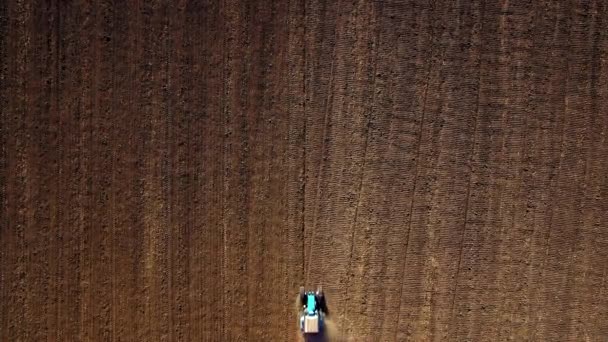 Вид з повітря на трактор, що сіє пшеницю — стокове відео