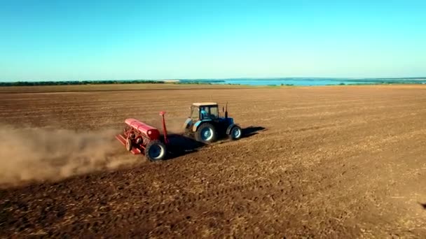 Luchtfoto van de trekker die tarwe zaait — Stockvideo