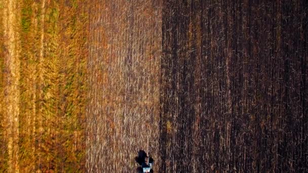 Aerial view of tractor plowing the soil — Stock Video