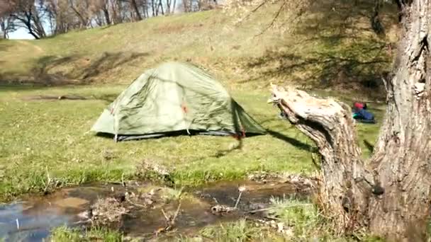 Stedycam tembakan tenda hijau dekat aliran hutan — Stok Video