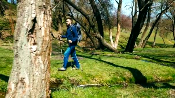 Junge Wanderin mit Rucksack und Wanderstöcken wandert im Freien — Stockvideo