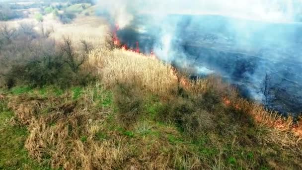 Вид з повітря на суху траву, що горить у степу — стокове відео