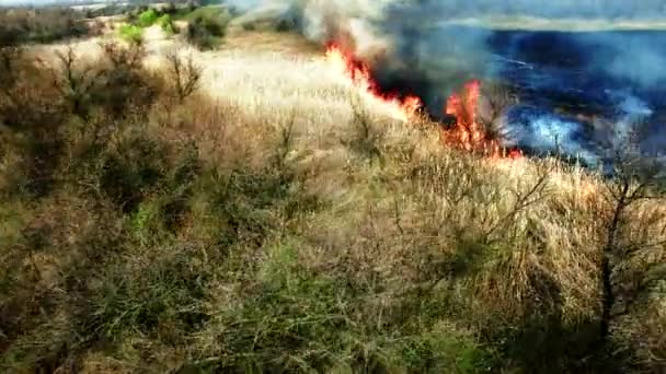 마른 잔디 대초원에서 불타의 항공 보기 — 비디오