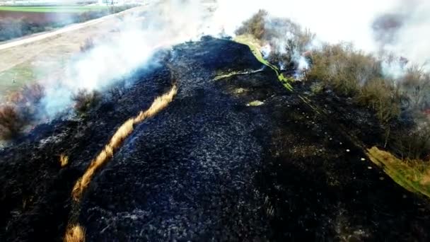 Вид з повітря на суху траву, що горить у степу — стокове відео