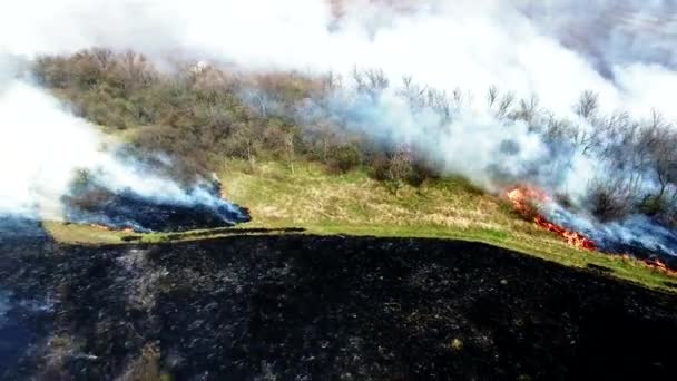 Vue aérienne du brûlage d'herbe sèche dans la steppe — Video