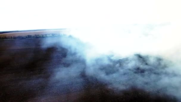 Luftaufnahme von trockenem Gras, das in der Steppe brennt — Stockvideo