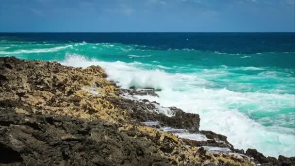 Ocean wave splash a zátony — Stock videók