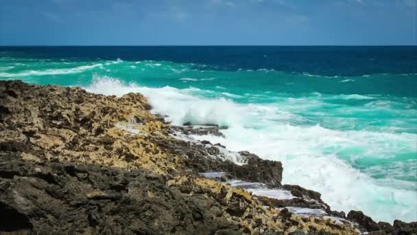 Salpicos de ondas oceânicas no recife — Vídeo de Stock