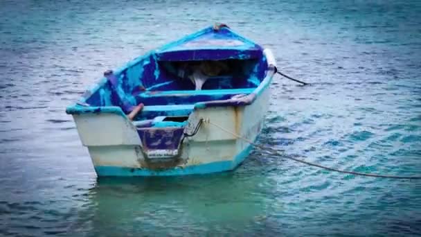 Wood boat on the beach — Stock Video