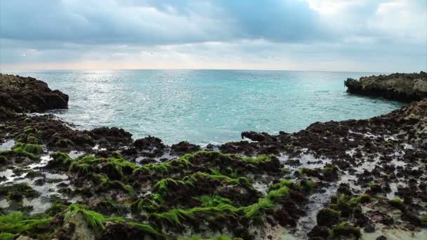 Las olas del océano rompiendo en la orilla del arrecife — Vídeo de stock