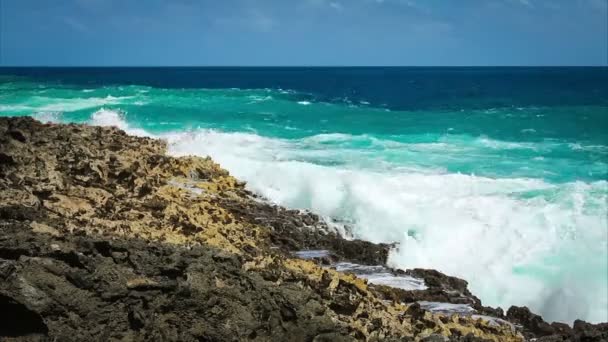 Salpicos de ondas oceânicas no recife — Vídeo de Stock