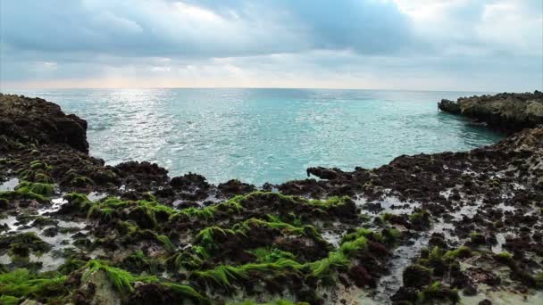 Lautan gelombang melanggar di pantai karang — Stok Video