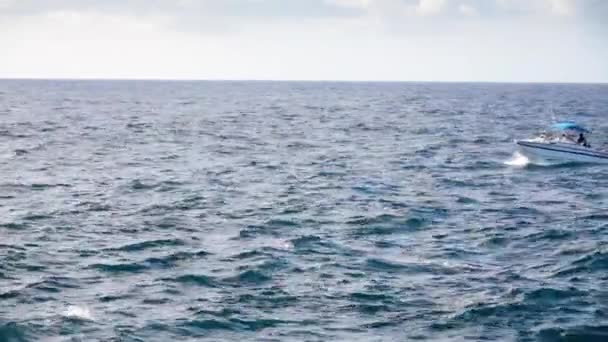 遠くの地平線の上の漁船 — ストック動画