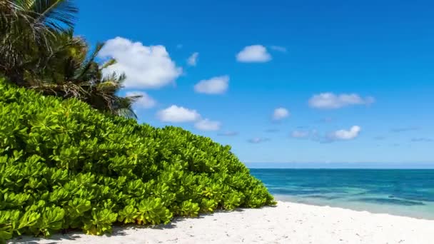 Mooie wolken op het strand in de buurt van de oceaan timelapse — Stockvideo