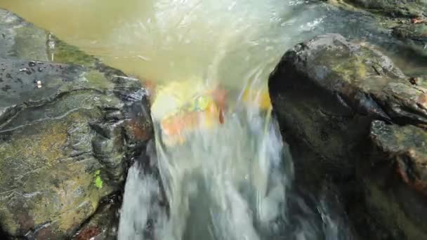 Mountain stream — Stock Video