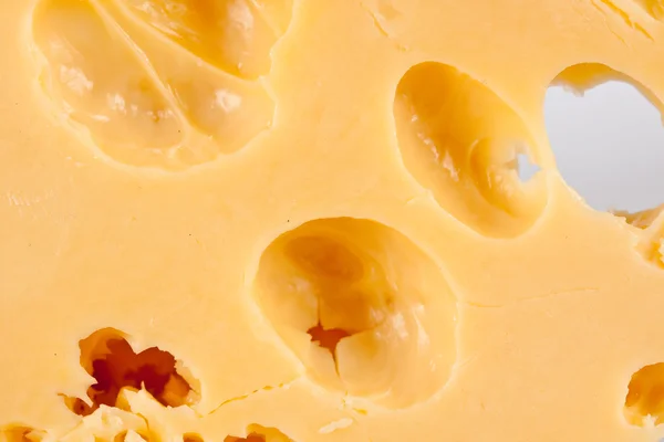 Rebanada de queso — Foto de Stock