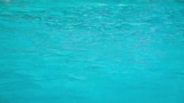 Erkek yüzücü havuza atlama