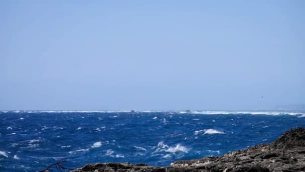 Salpicadura de ola oceánica en el arrecife — Vídeo de stock