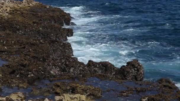 Salpicadura de ola oceánica en el arrecife — Vídeos de Stock