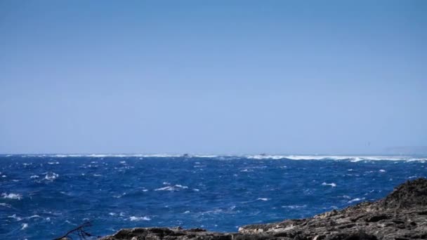 Salpicos de ondas oceânicas no recife — Vídeo de Stock