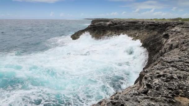 Ocean wave splash på revet — Stockvideo