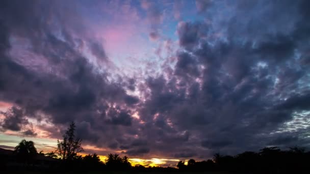 Erstaunliche bewölkte Sonnenuntergang Zeitraffer mit Silhouetten von Palmen im Hintergrund — Stockvideo