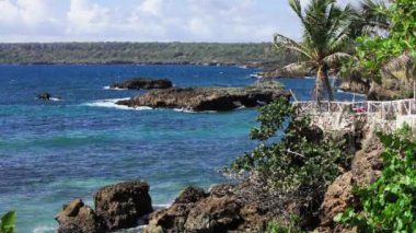 Palmiye ağaçları ve kayaları ile tropikal kıyı