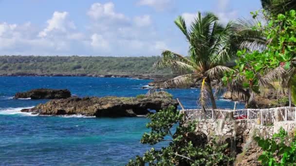 Tropische kust met palmbomen en rotsen — Stockvideo