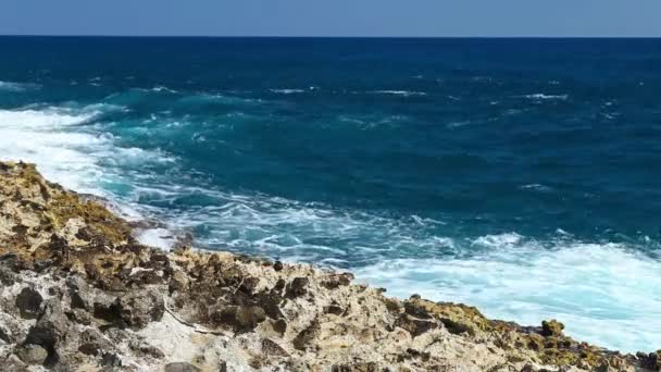 Salpicos de ondas oceânicas no recife — Vídeo de Stock