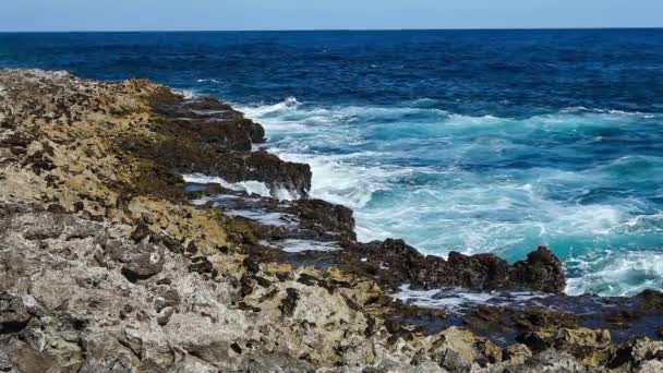 Salpicos de ondas oceânicas no recife — Vídeo de Stock