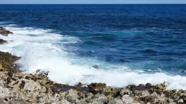 Ozeanwelle plätschert auf dem Riff — Stockvideo