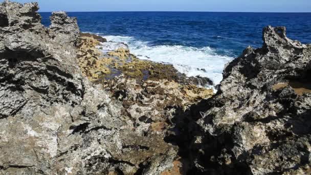 Salpicos de ondas oceânicas no recife — Vídeo de Stock