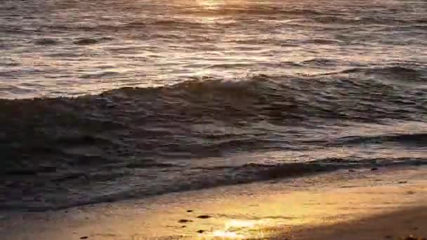 Kolory złoty na falach. Wschód słońca. Ocean. — Wideo stockowe