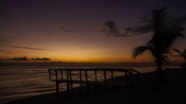 Ahşap köprü ve okyanus gündoğumu timelapse yakınındaki plajda palmiye ağacı