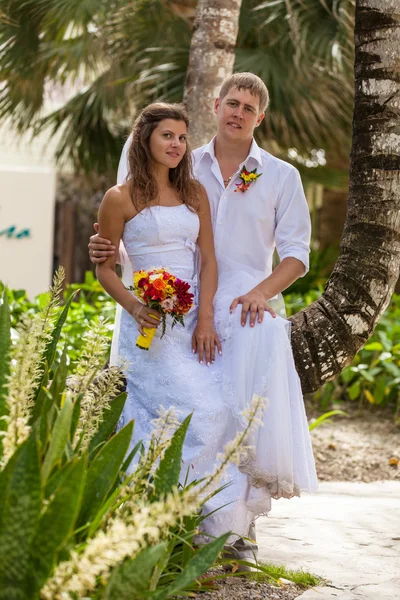 Bride and groom on the background of palm trees — Stock Photo, Image