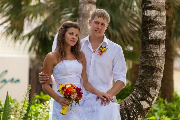 Novia y novio en el fondo de palmeras —  Fotos de Stock