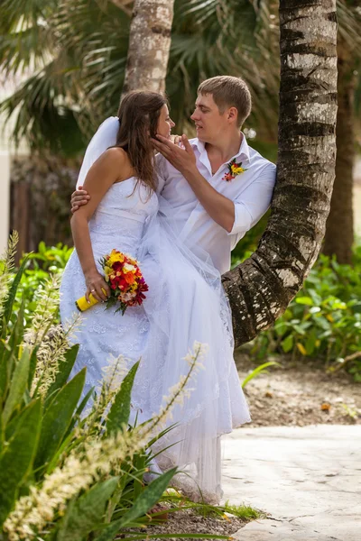 新娘和新郎在棕榈树的背景 — 图库照片