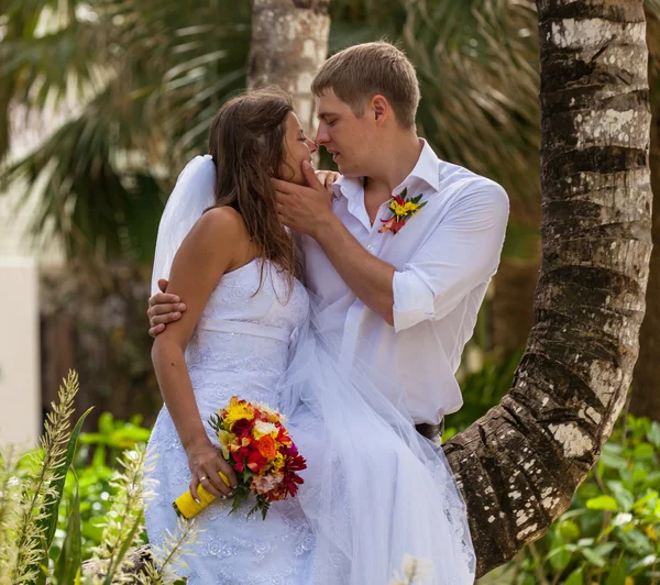 Mariée et marié sur le fond de palmiers — Photo